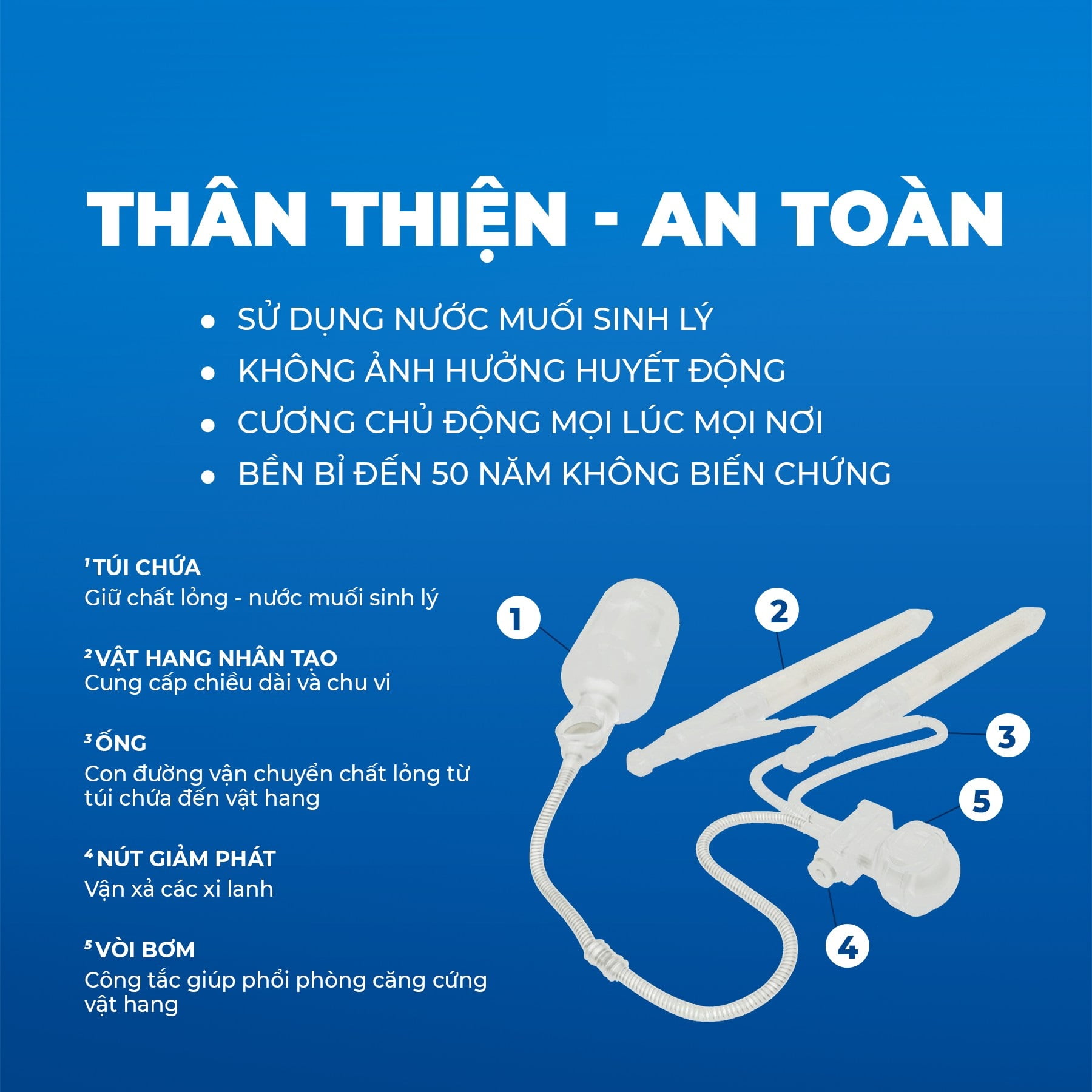 thể hang nhân tạo