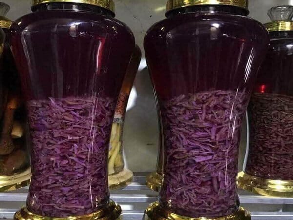 bài thuốc chữa liệt dương