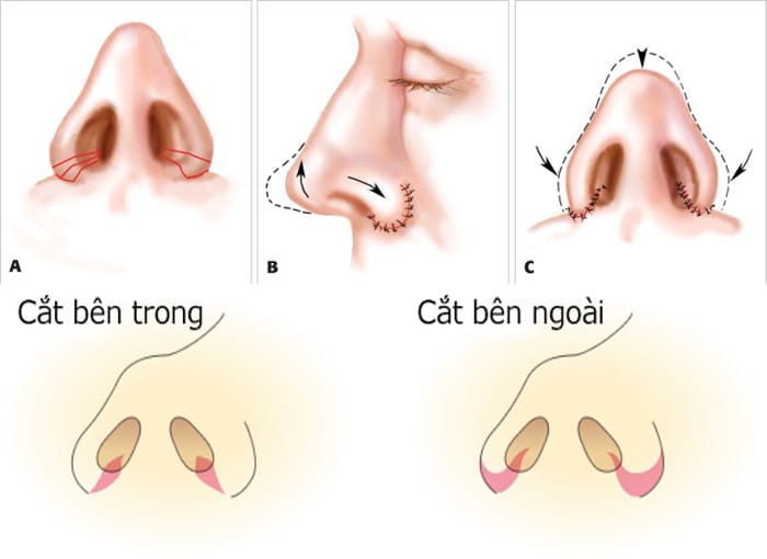 thu nho dau mui 2