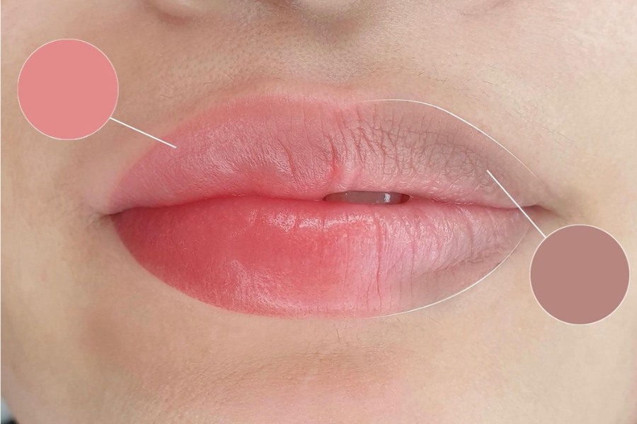 Làm hồng môi tự nhiên: Bí quyết để có đôi môi căng mọng, quyến rũ 6 làm hồng môi tự nhiên